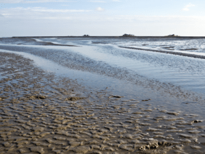 Wadden Sea