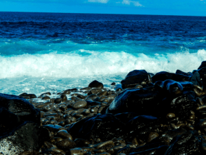 Galapagos Islands