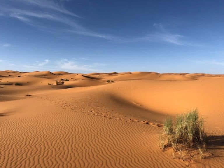 Sahara l Breathtaking Hot Desert - Our Breathing Planet