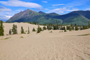 Carcross Desert