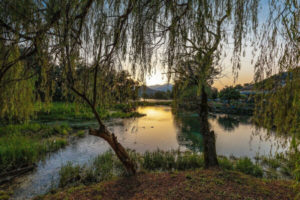 Lake Posta Fibreno