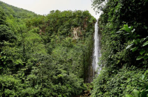 Carbet Falls