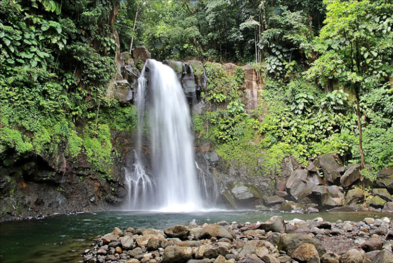 Carbet Falls l Hard to Access Wonder - Our Breathing Planet