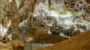 Postojna Cave