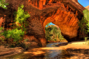 Coyote Gulch