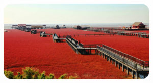 Red Beach