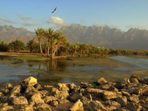 Socotra