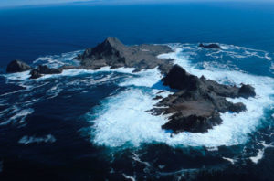 Farallon Islands