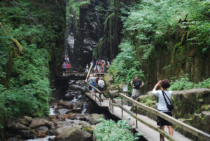 Flume Gorge