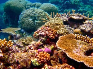 Great Barrier Reef