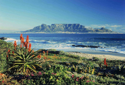 Table Mountain