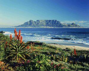 Table Mountain