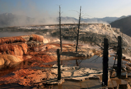 Mammoth Hot Springs